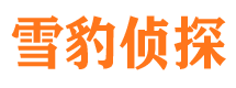 双峰寻人公司